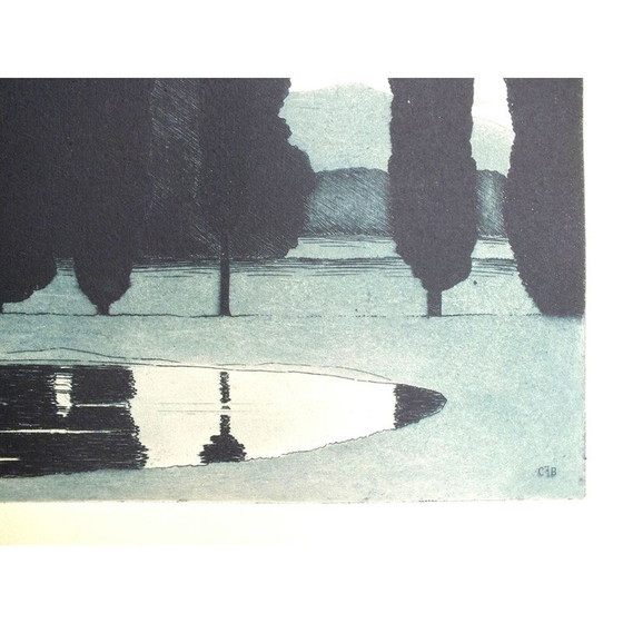 Image 1 of Gravure à l'aquatinte du Lac des cygnes vintage par Sir Claude Francis Barry, 1900