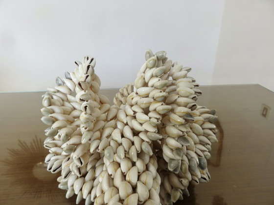 Image 1 of Vase En Coquillages, Pacifique Sud, Hawaï, Polynésie, 1970