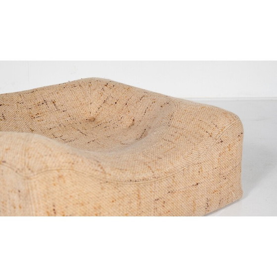 Image 1 of Fauteuil bas vintage, 1960