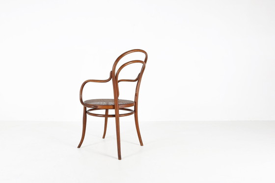 Image 1 of Fauteuil vintage en bentwood avec cannage, 1950
