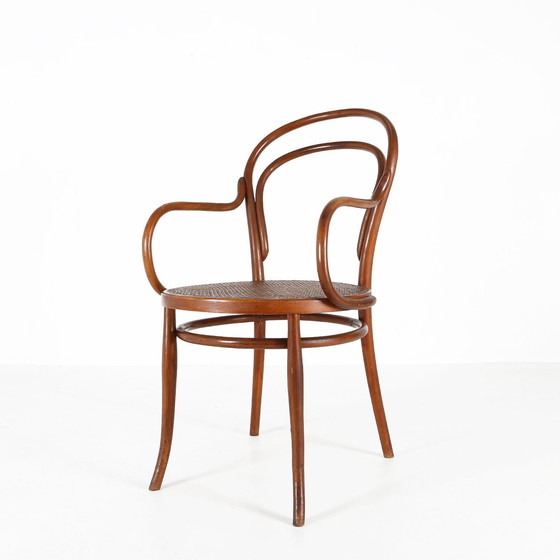 Image 1 of Fauteuil vintage en bentwood avec cannage, 1950