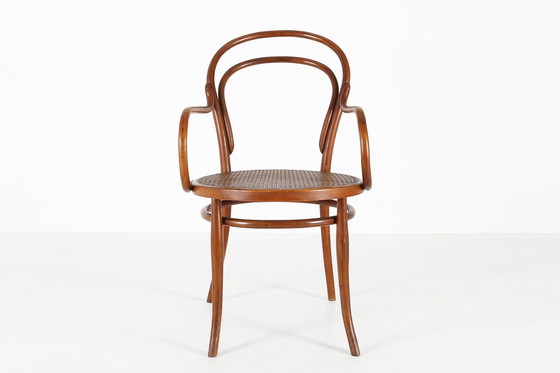 Image 1 of Fauteuil vintage en bentwood avec cannage, 1950