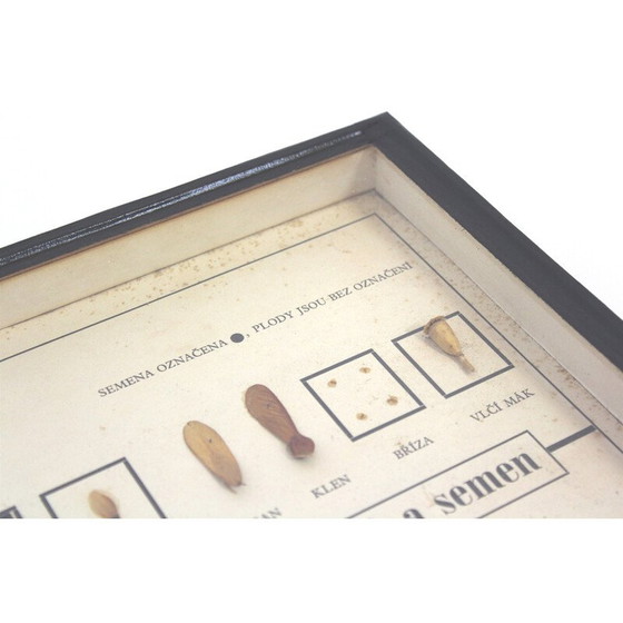 Image 1 of Tableau scolaire vintage "Spreading the Seeds", Tchécoslovaquie, années 1960