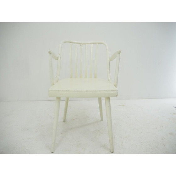 Image 1 of Chaise de salle à manger vintage Antonin Suman, Tchécoslovaquie années 1960