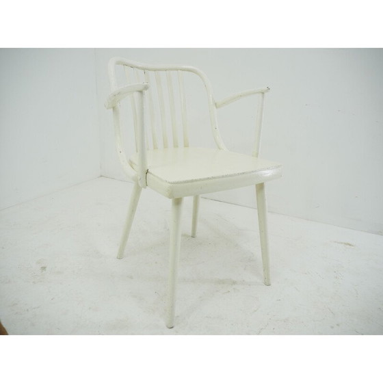 Image 1 of Chaise de salle à manger vintage Antonin Suman, Tchécoslovaquie années 1960