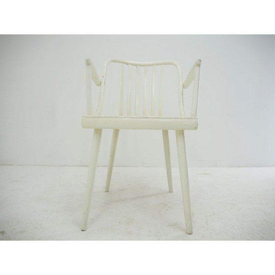 Image 1 of Chaise de salle à manger vintage Antonin Suman, Tchécoslovaquie années 1960