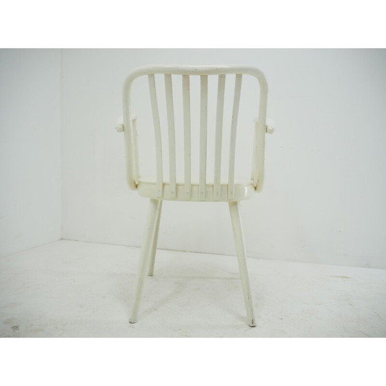 Image 1 of Chaise de salle à manger vintage Antonin Suman, Tchécoslovaquie années 1960