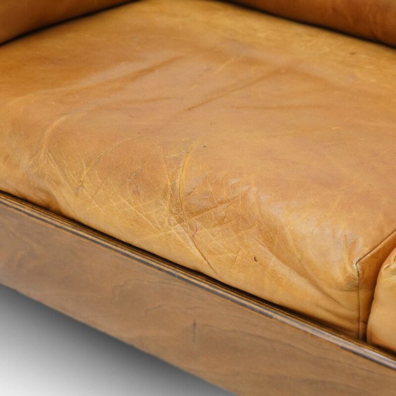 Image 1 of Canapé 2 places vintage "Zelda" en contreplaqué et cuir par Sergio Asti pour Poltronova, 1960