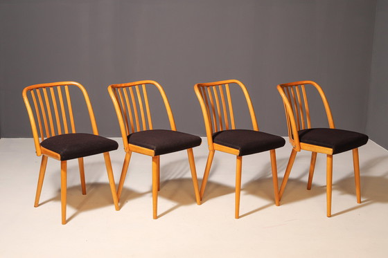 Image 1 of Ensemble de quatre chaises en bois | Antonín Šuman, 20e siècle