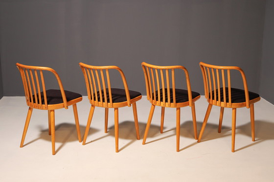 Image 1 of Ensemble de quatre chaises en bois | Antonín Šuman, 20e siècle