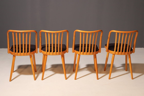 Image 1 of Ensemble de quatre chaises en bois | Antonín Šuman, 20e siècle
