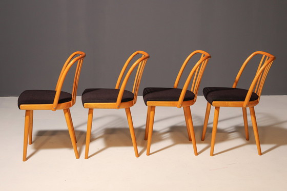 Image 1 of Ensemble de quatre chaises en bois | Antonín Šuman, 20e siècle