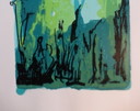 Carry Tefsen (Actrice) Green Forest ( Très rare)