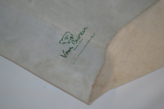 Image 1 of Feuille de vache blanche_ des voisins