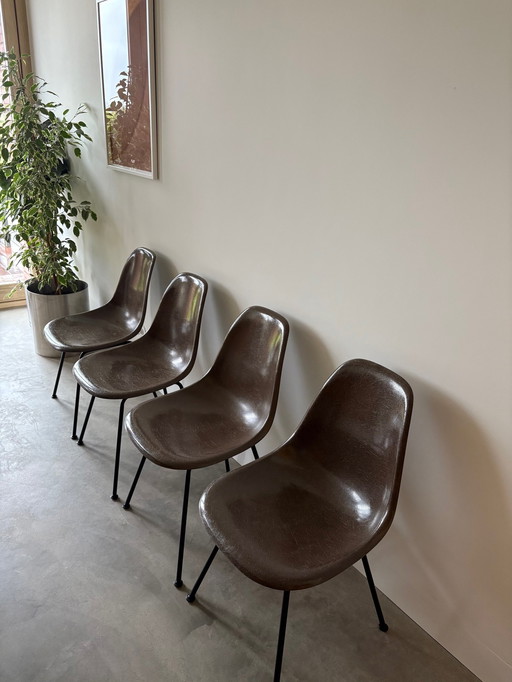 Vitra Eames Herman Miller 4 chaises seau en fibre de verre Dsx