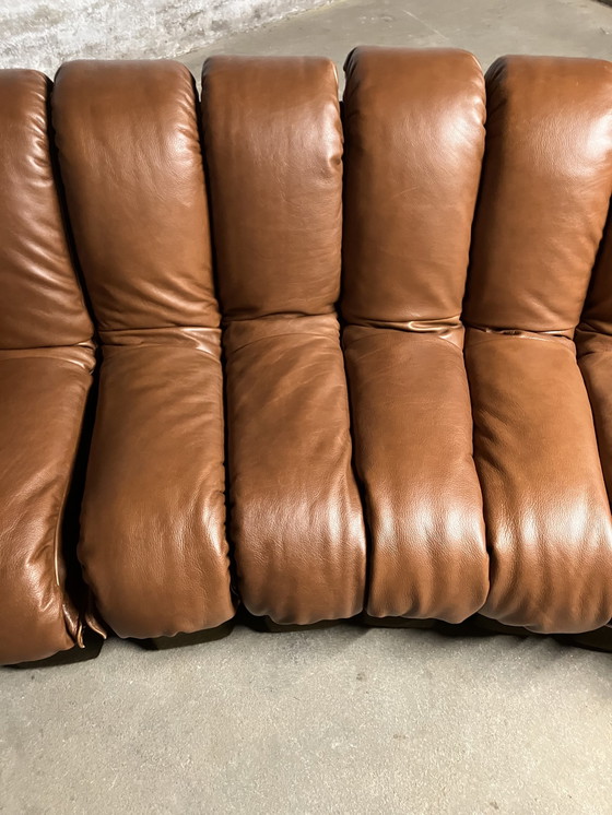 Image 1 of De Sede Ds600 Snake Tatzelwurm, 14 éléments. Etat neuf