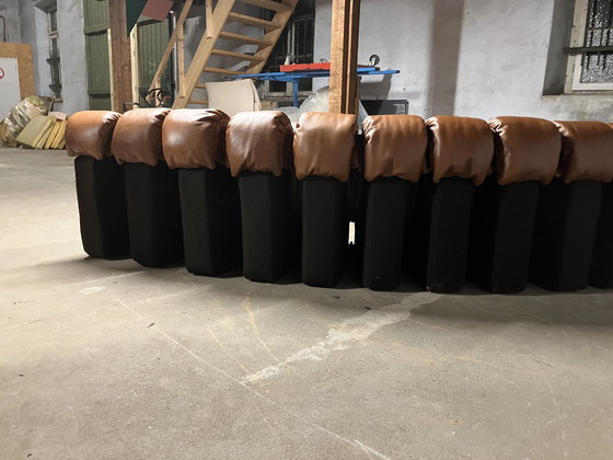 Image 1 of De Sede Ds600 Snake Tatzelwurm, 14 éléments. Etat neuf