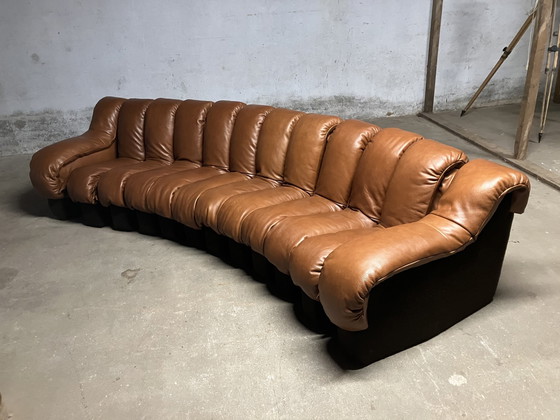 Image 1 of De Sede Ds600 Snake Tatzelwurm, 14 éléments. Etat neuf