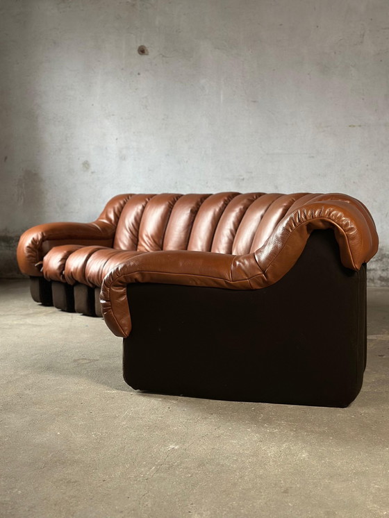 Image 1 of De Sede Ds600 Snake Tatzelwurm, 14 éléments. Etat neuf