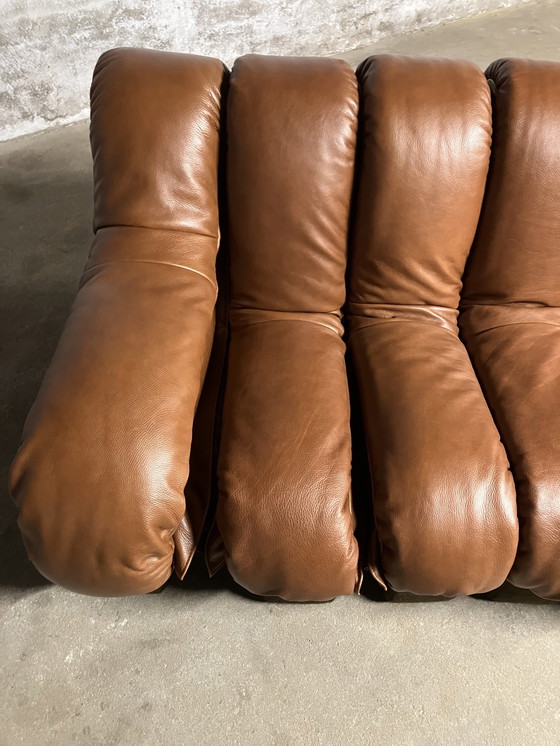 Image 1 of De Sede Ds600 Snake Tatzelwurm, 14 éléments. Etat neuf