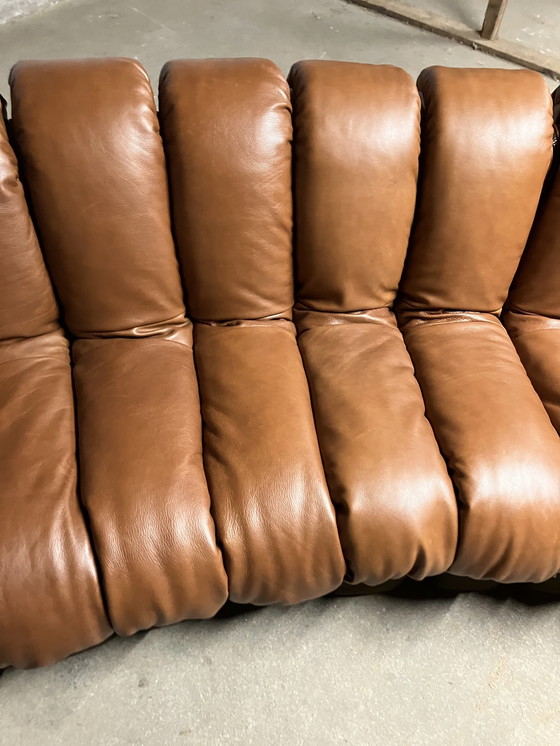 Image 1 of De Sede Ds600 Snake Tatzelwurm, 14 éléments. Etat neuf