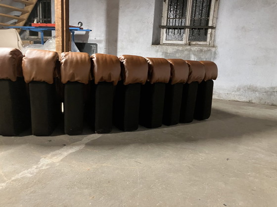 Image 1 of De Sede Ds600 Snake Tatzelwurm, 14 éléments. Etat neuf