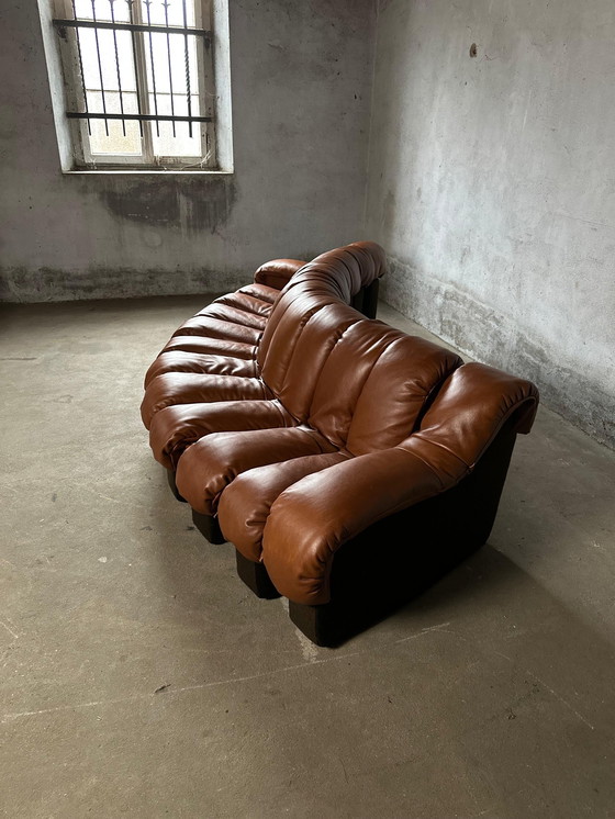 Image 1 of De Sede Ds600 Snake Tatzelwurm, 14 éléments. Etat neuf