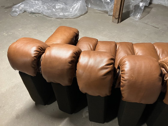 Image 1 of De Sede Ds600 Snake Tatzelwurm, 14 éléments. Etat neuf