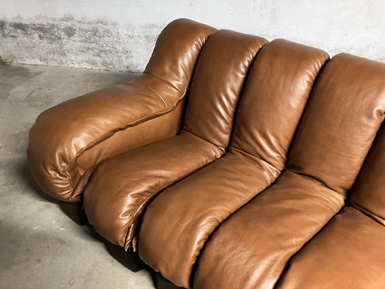 Image 1 of De Sede Ds600 Snake Tatzelwurm, 14 éléments. Etat neuf