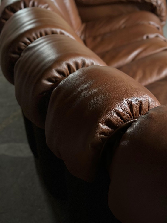 Image 1 of De Sede Ds600 Snake Tatzelwurm, 14 éléments. Etat neuf