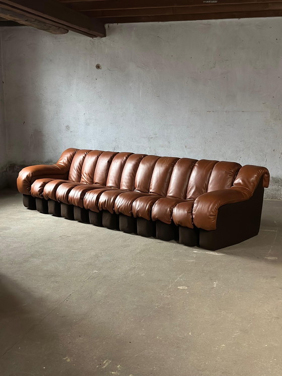 Image 1 of De Sede Ds600 Snake Tatzelwurm, 14 éléments. Etat neuf