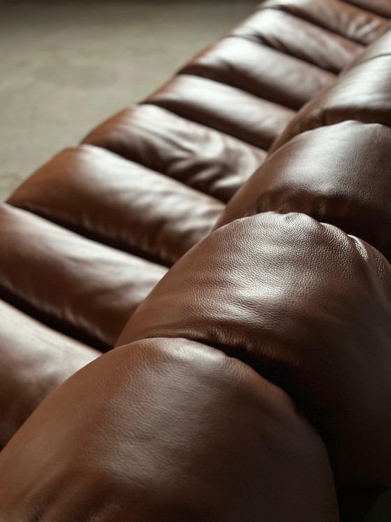 Image 1 of De Sede Ds600 Snake Tatzelwurm, 14 éléments. Etat neuf