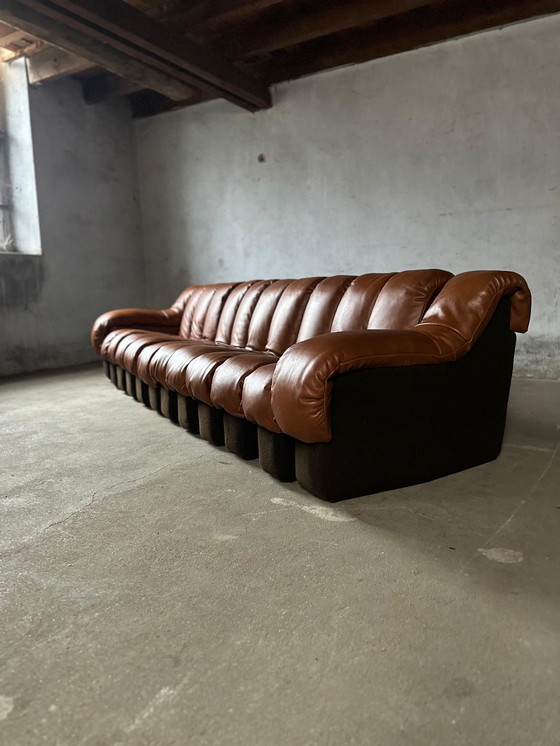 Image 1 of De Sede Ds600 Snake Tatzelwurm, 14 éléments. Etat neuf