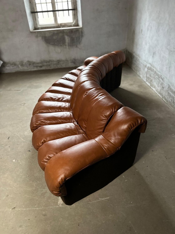 Image 1 of De Sede Ds600 Snake Tatzelwurm, 14 éléments. Etat neuf