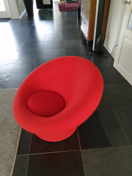 Image 1 of Champignon Artifort Large