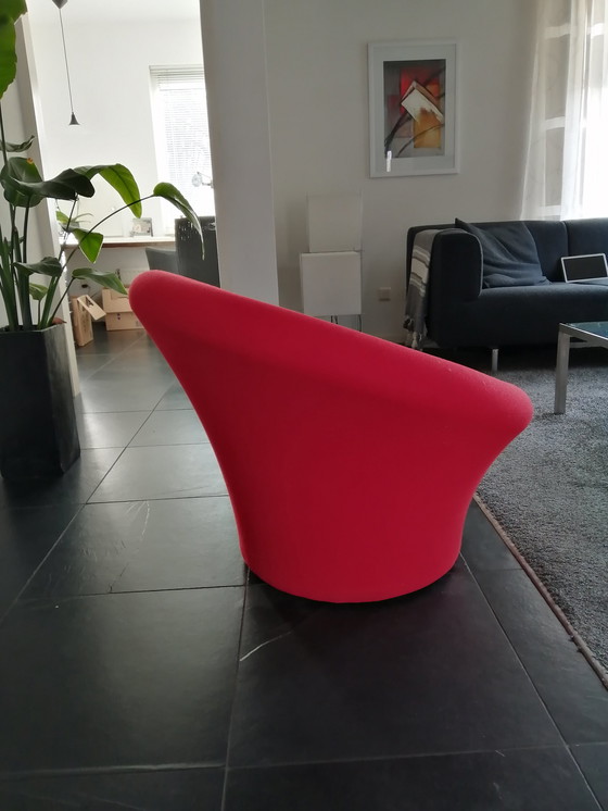 Image 1 of Champignon Artifort Large