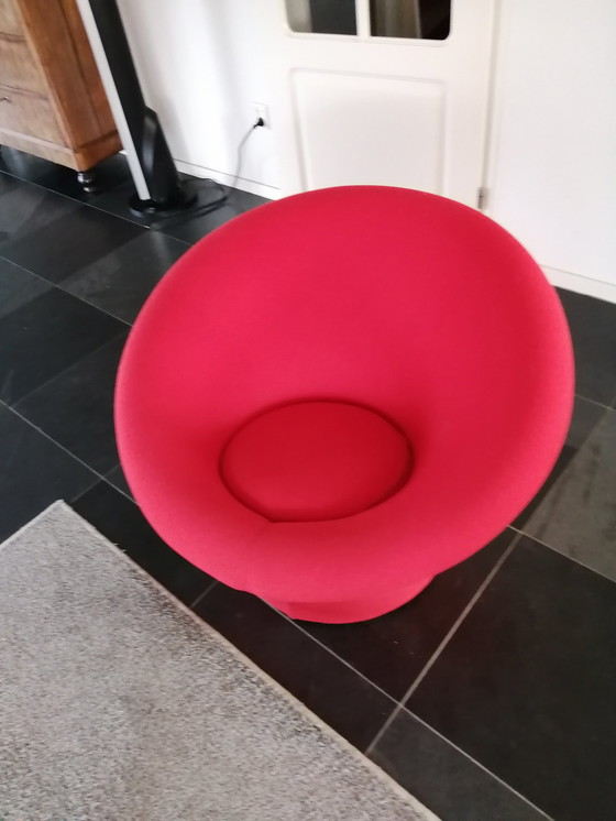 Image 1 of Champignon Artifort Large