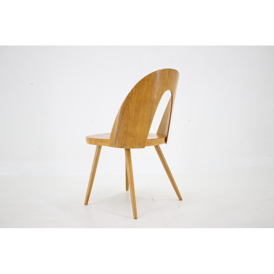 Image 1 of Chaise vintage en noyer par Antoni Suman, Tchécoslovaquie 1960