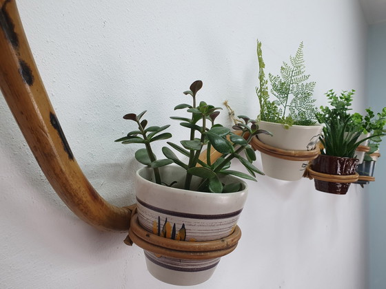 Image 1 of Tuyau pour plantes Rotin/Bambou Support pour plantes Rohé/Trio Noordwolde