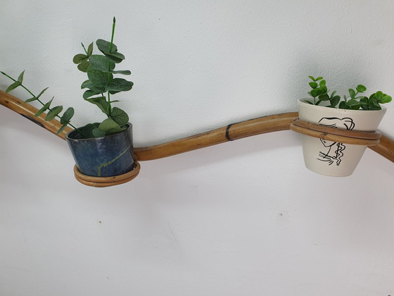 Image 1 of Tuyau pour plantes Rotin/Bambou Support pour plantes Rohé/Trio Noordwolde