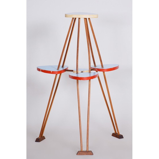 Image 1 of Porte-fleurs vintage en bois de hêtre et umakart, Tchécoslovaquie 1950