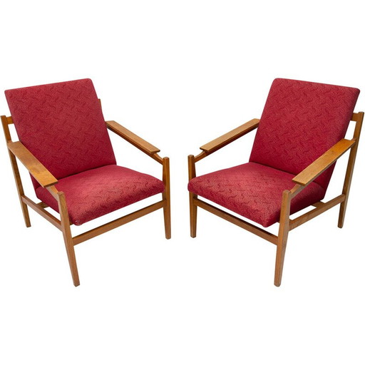 Paire de fauteuils vintage en bois de hêtre et coussins, 1960