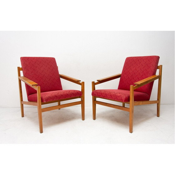 Image 1 of Paire de fauteuils vintage en bois de hêtre et coussins, 1960
