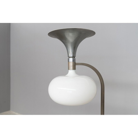 Image 1 of Lampadaire vintage Sirrah en verre et acier par Franco Albini et Franca Helg, 1969