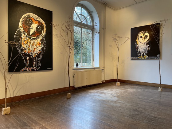 Image 1 of Peinture du portrait d'une chouette effraie