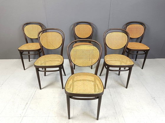 Image 1 of Chaises de salle à manger Thonet, 1982