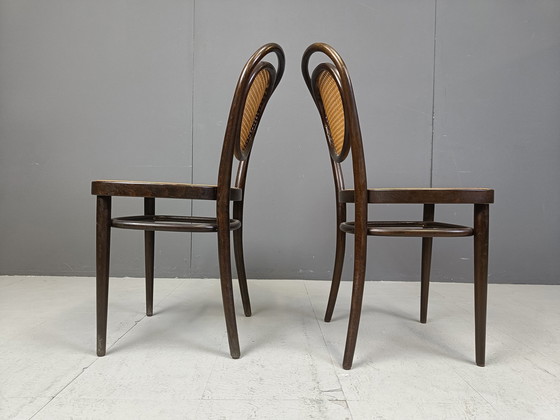 Image 1 of Chaises de salle à manger Thonet, 1982