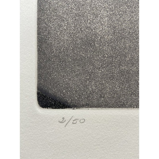 Image 1 of Lithographie vintage "vinculo tejado" de Perry Oliver, 1999