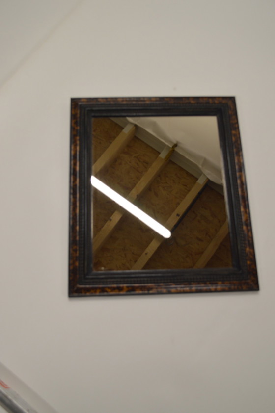 Image 1 of Tortue-miroir