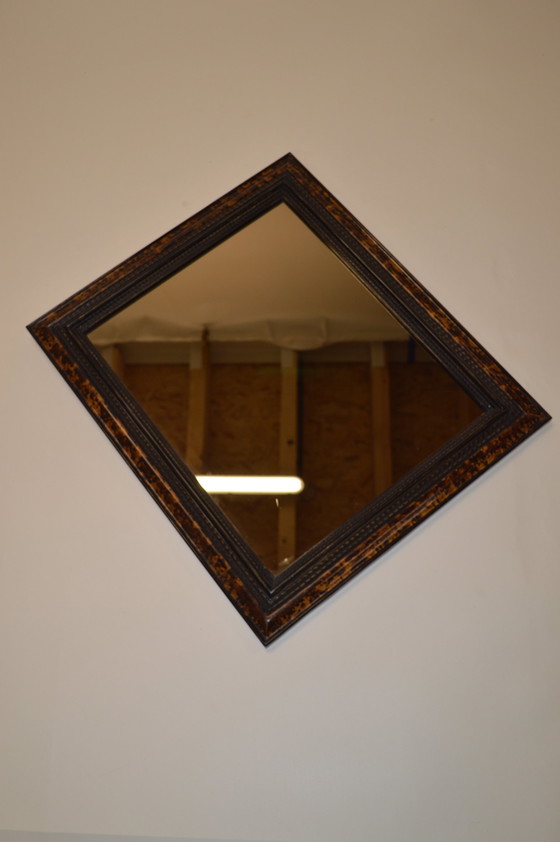 Image 1 of Tortue-miroir